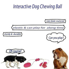 Pet Chew Toys