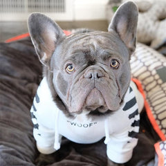 "WOOF" Designer Pup Hoodie