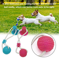 Pet Chew Toys