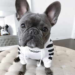 "WOOF" Designer Pup Hoodie