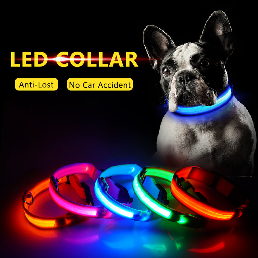 SIPPI PUP EXCLUSIVE: LED Dog Collar - USB Rechargeable