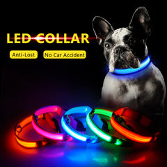 SIPPI PUP EXCLUSIVE: LED Dog Collar - USB Rechargeable