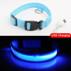 SIPPI PUP EXCLUSIVE: LED Dog Collar - USB Rechargeable