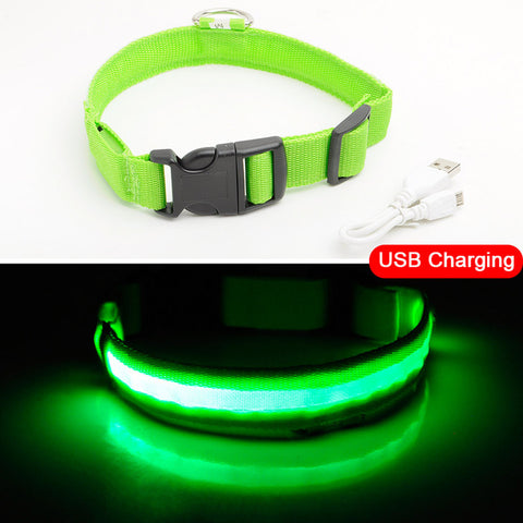 SIPPI PUP EXCLUSIVE: LED Dog Collar - USB Rechargeable