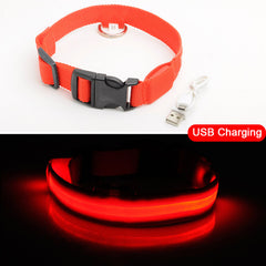 SIPPI PUP EXCLUSIVE: LED Dog Collar - USB Rechargeable