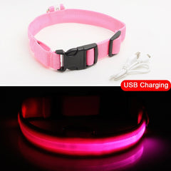 SIPPI PUP EXCLUSIVE: LED Dog Collar - USB Rechargeable