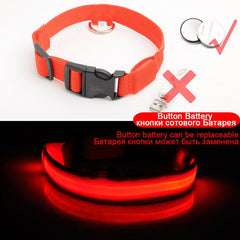 SIPPI PUP EXCLUSIVE: LED Dog Collar - USB Rechargeable