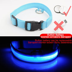 SIPPI PUP EXCLUSIVE: LED Dog Collar - USB Rechargeable