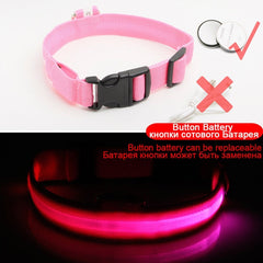 SIPPI PUP EXCLUSIVE: LED Dog Collar - USB Rechargeable