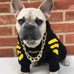 "WOOF" Designer Pup Hoodie